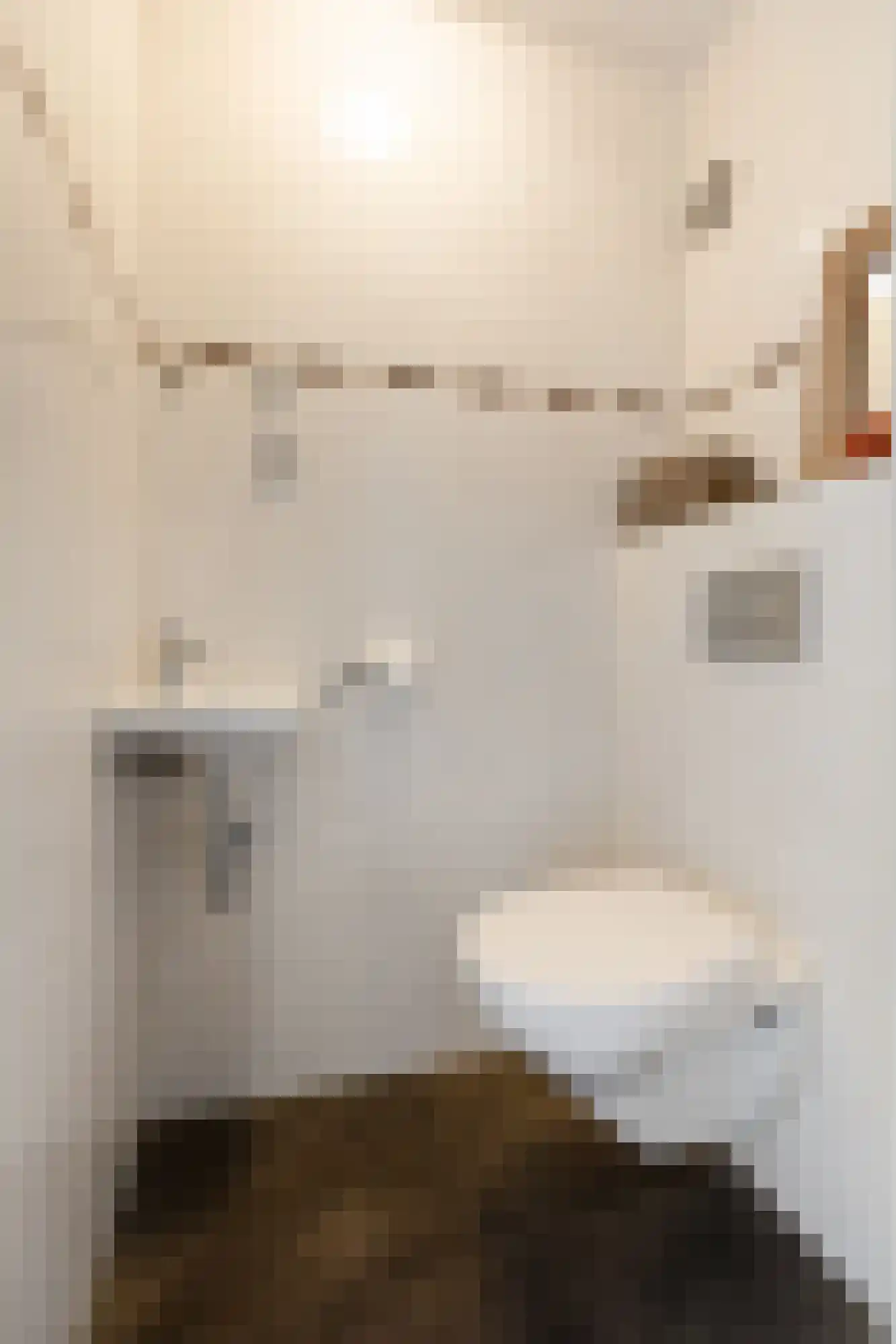 Goudreinette 16 Duiven thumbnail 9