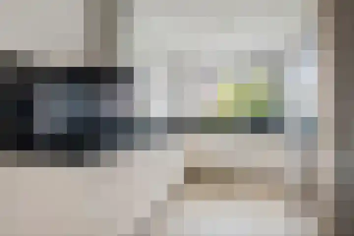 Goudreinette 19 Buren thumbnail 10