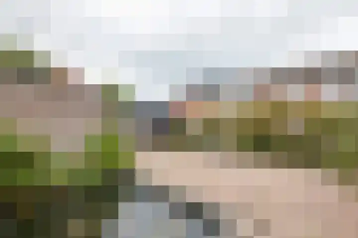 Goudreinette 19 Buren thumbnail 11