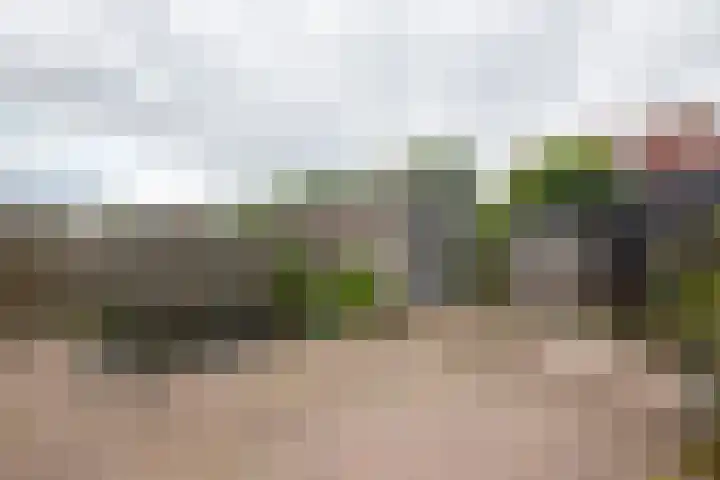 Goudreinette 19 Buren thumbnail 12