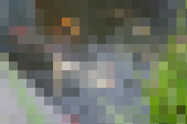 Goudreinette 19 Buren thumbnail 13