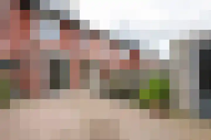 Goudreinette 19 Buren thumbnail 14