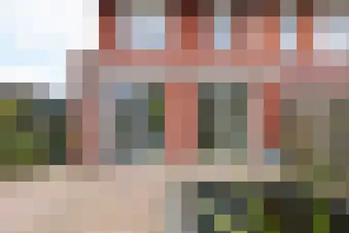 Goudreinette 19 Buren thumbnail 15