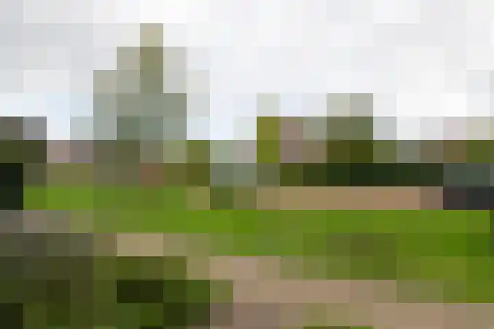 Goudreinette 19 Buren thumbnail 16