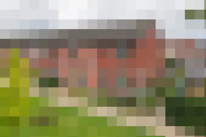 Goudreinette 19 Buren thumbnail 17