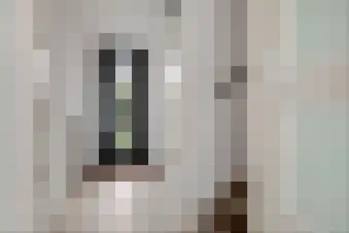 Goudreinette 19 Buren thumbnail 18