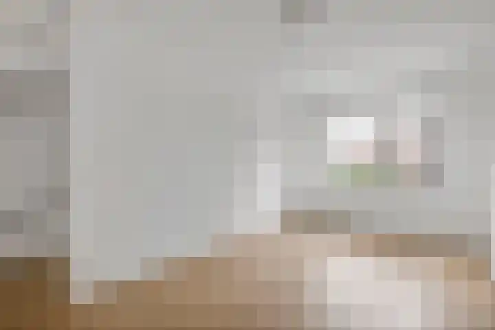 Goudreinette 19 Buren thumbnail 25