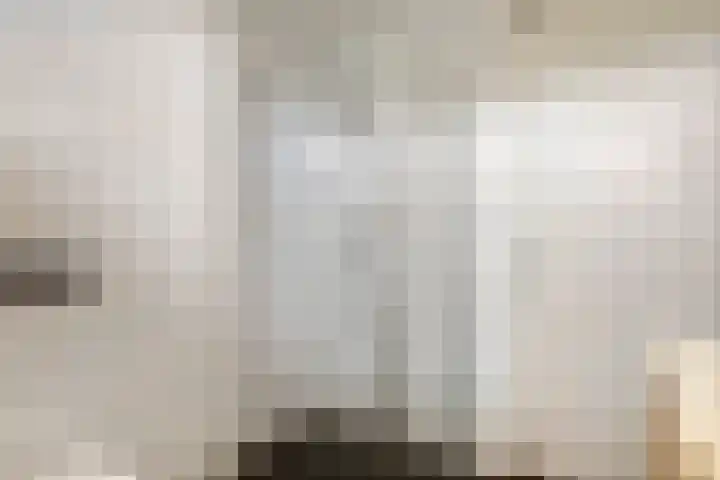 Goudreinette 19 Buren thumbnail 30
