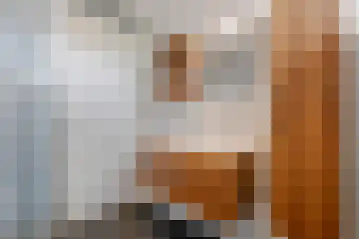 Goudreinette 19 Buren thumbnail 31