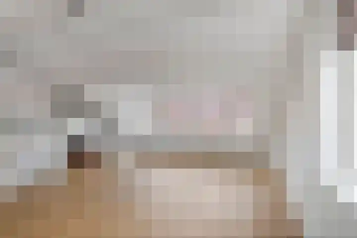 Goudreinette 19 Buren thumbnail 33