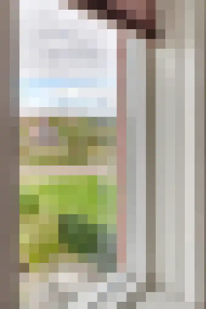 Goudreinette 19 Buren thumbnail 36