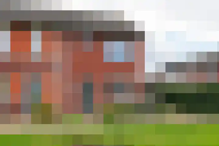 Goudreinette 19 Buren thumbnail 37