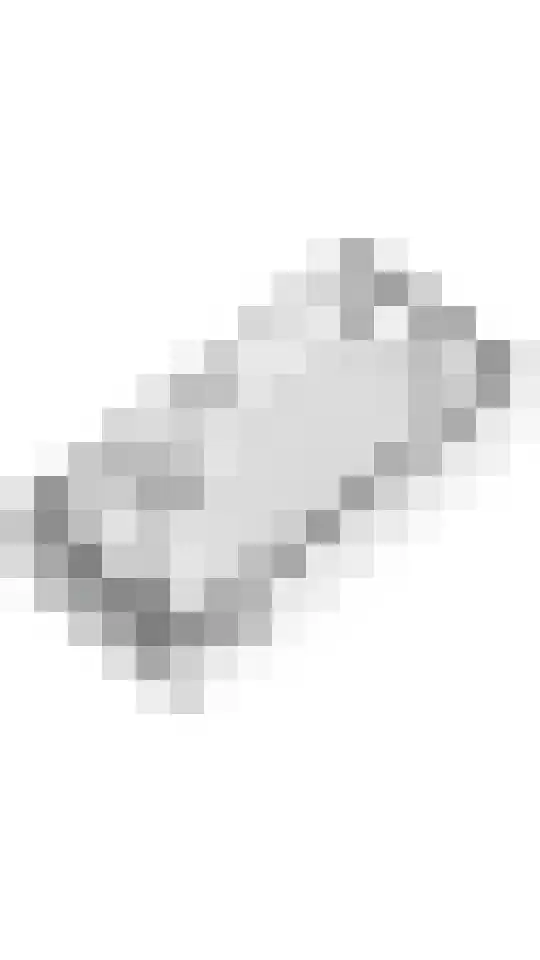 Goudreinette 19 Buren thumbnail 38