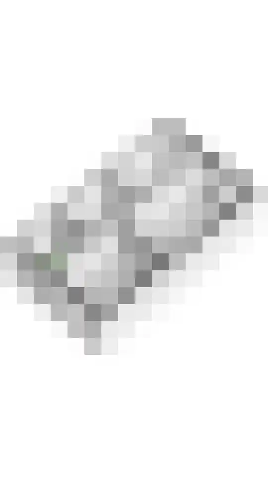 Goudreinette 19 Buren thumbnail 41