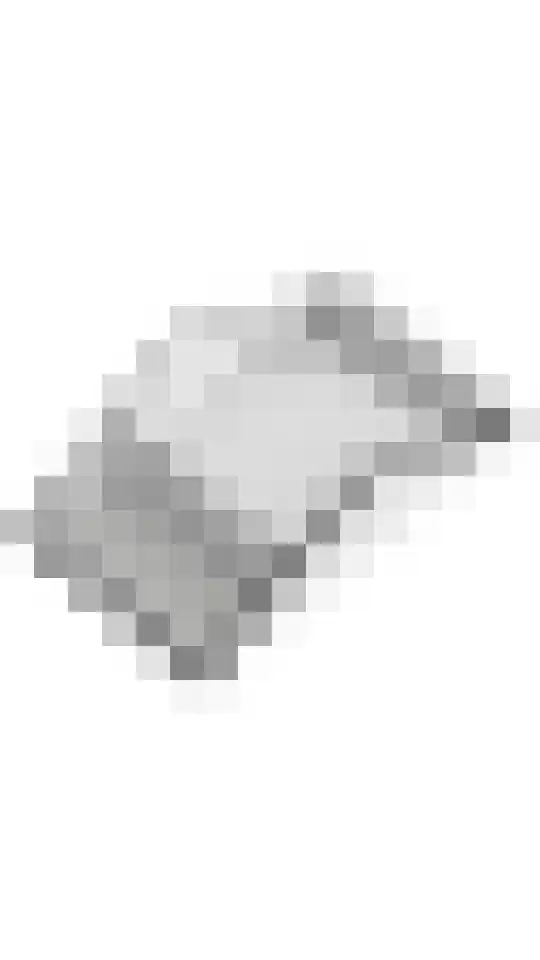 Goudreinette 19 Buren thumbnail 43