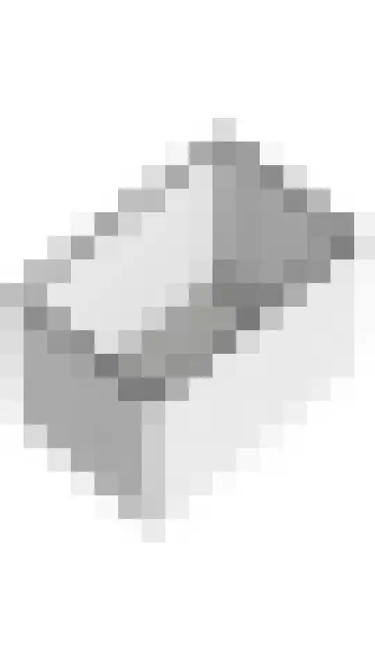 Goudreinette 19 Buren thumbnail 45