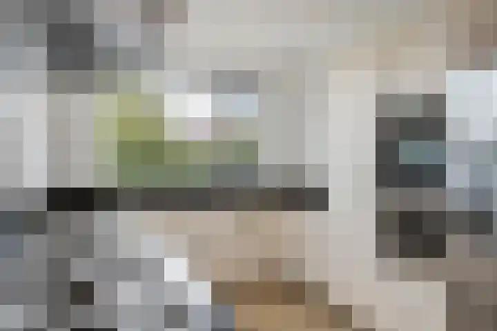 Goudreinette 19 Buren thumbnail 8