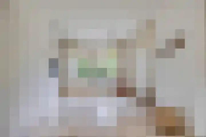 Goudreinette 22 Duiven thumbnail 13