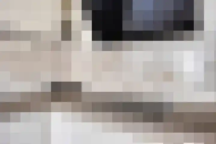 Goudreinette 22 Duiven thumbnail 15
