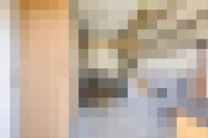 Goudreinette 22 Duiven thumbnail 18