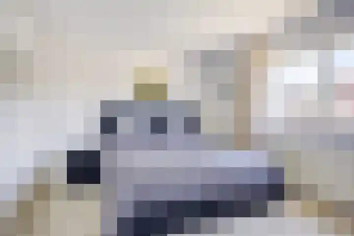 Goudreinette 22 Duiven thumbnail 20