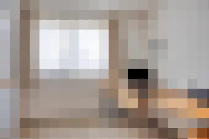 Goudreinette 22 Duiven thumbnail 29