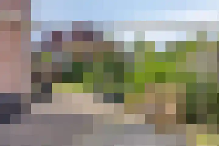 Goudreinette 22 Duiven thumbnail 33