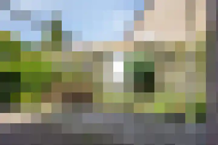 Goudreinette 22 Duiven thumbnail 34