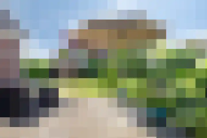 Goudreinette 22 Duiven thumbnail 35