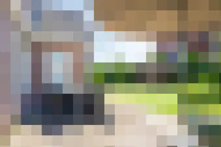 Goudreinette 22 Duiven thumbnail 37