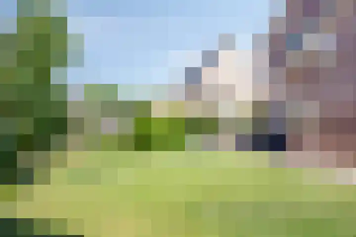 Goudreinette 22 Duiven thumbnail 39