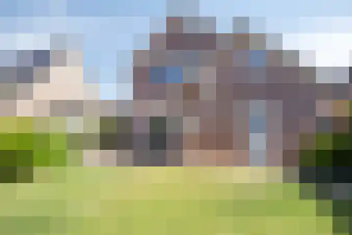 Goudreinette 22 Duiven thumbnail 40