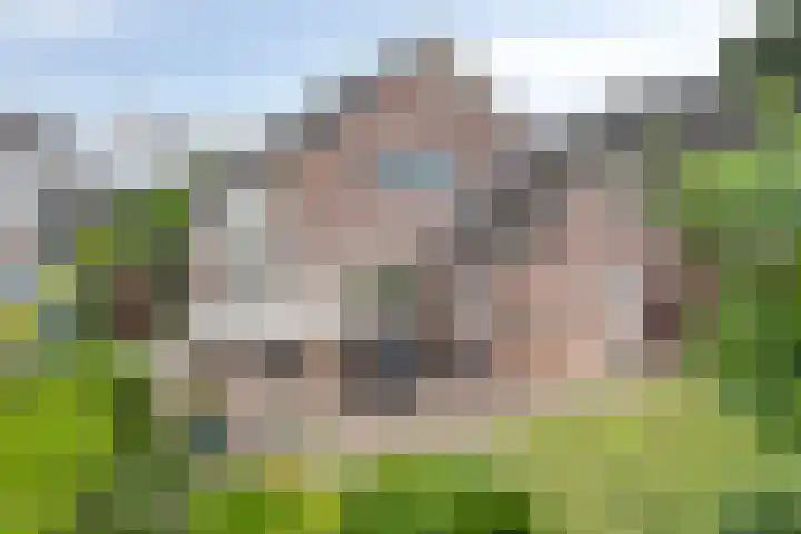 Goudreinette 22 Duiven thumbnail 42