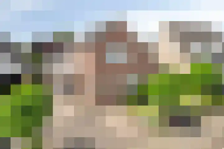 Goudreinette 22 Duiven thumbnail 43