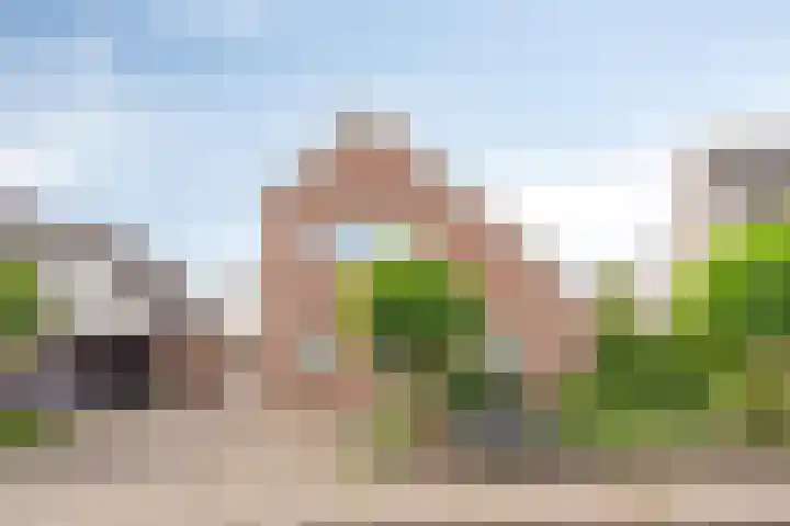 Goudreinette 22 Duiven thumbnail 44