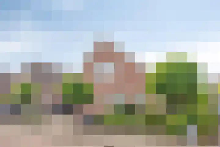 Goudreinette 22 Duiven thumbnail 45