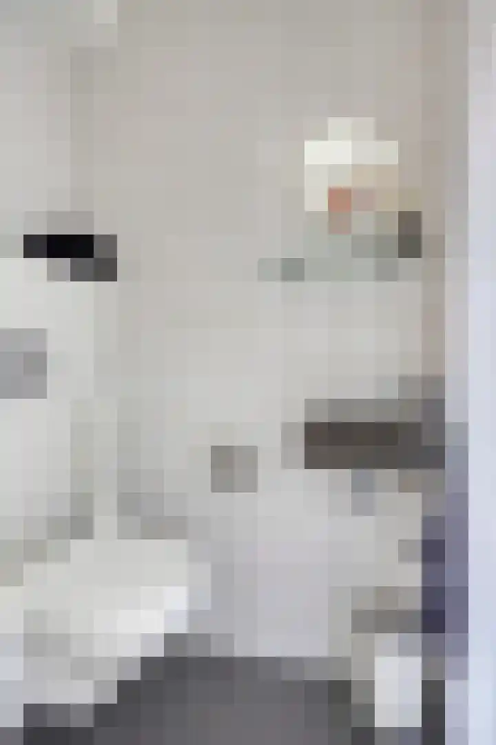 Goudreinette 22 Duiven thumbnail 8