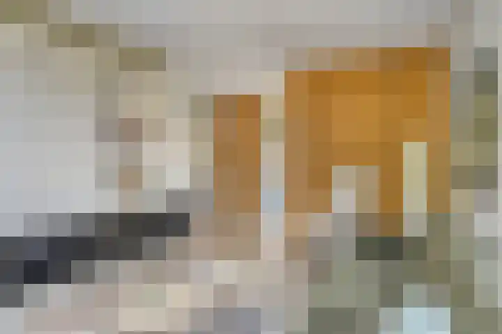 Goudreinette 4 Lith thumbnail 10