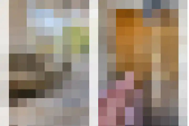 Goudreinette 4 Lith thumbnail 12