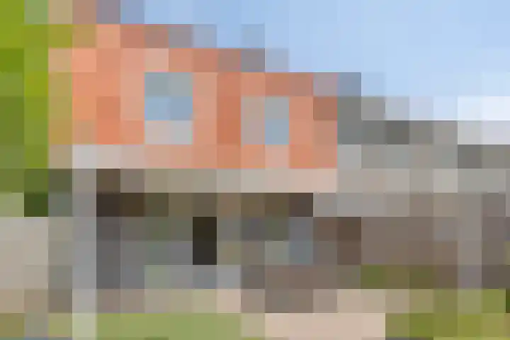 Goudreinette 4 Lith thumbnail 23