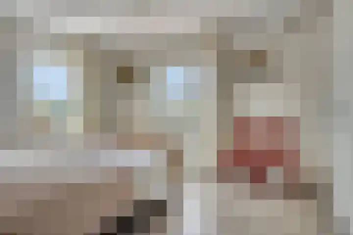 Goudreinette 4 Lith thumbnail 25