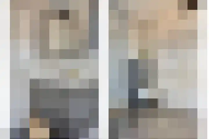 Goudreinette 4 Lith thumbnail 28