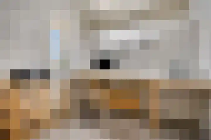 Goudreinette 4 Lith thumbnail 35