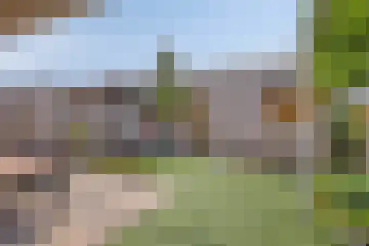 Goudreinette 4 Lith thumbnail 4
