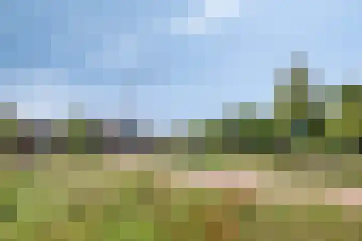Goudreinette 4 Lith thumbnail 40