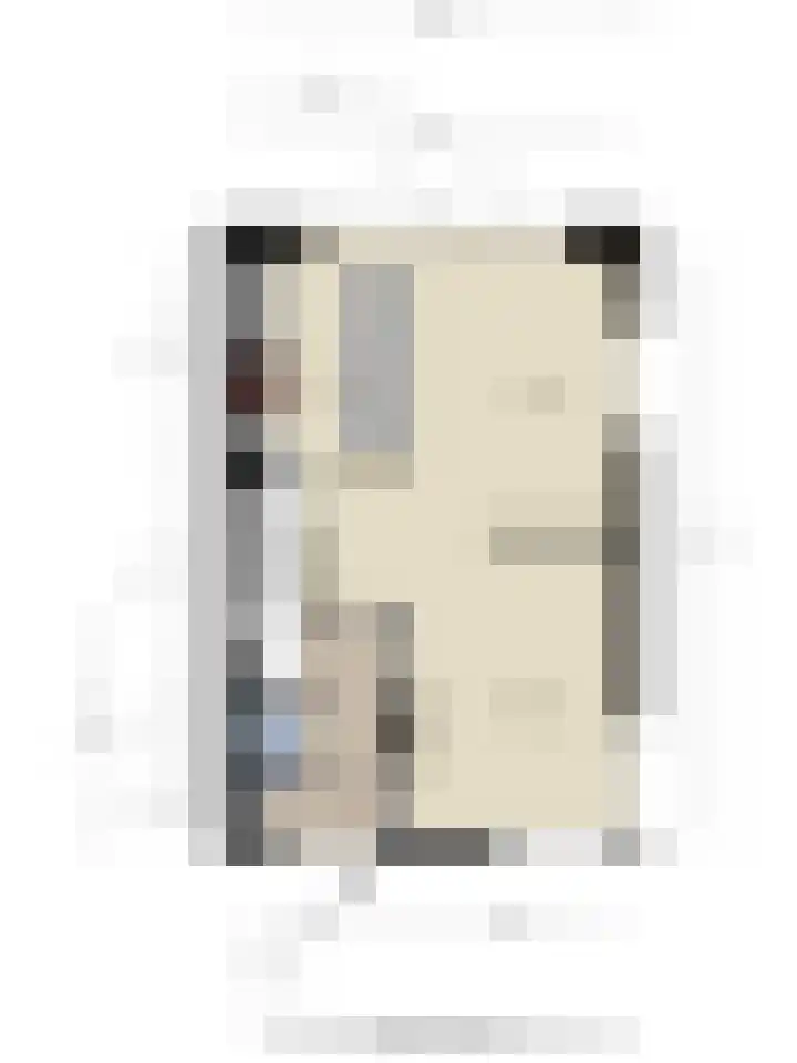 Goudreinette 4 Lith thumbnail 42