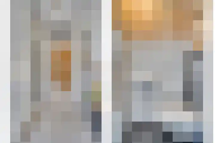 Goudreinette 4 Lith thumbnail 7