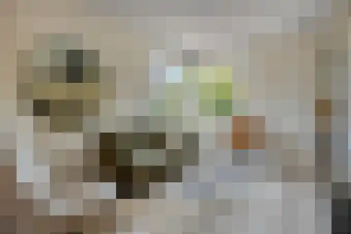Goudreinette 4 Lith thumbnail 8