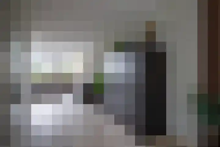 Goudreinette 6 Duiven thumbnail 10