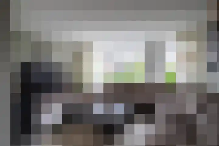 Goudreinette 6 Duiven thumbnail 11